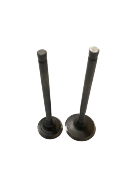 Honda Spacy 110 Subap Takım Oem