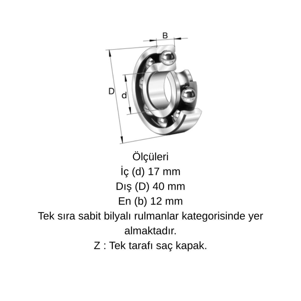 ORS 6203 ZZ G100 C3 Bilya 17x40x12