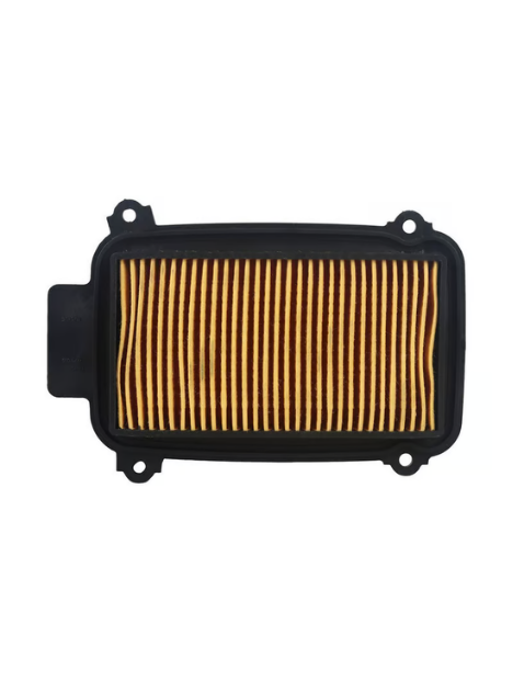 Hero Pleasure Hava Filtresi Orijinal